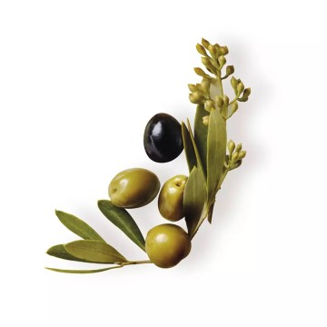 ORIGINAL REMEDIES champú oliva mítica 300 ml