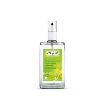 CITRUS deodorant 24h eficacia spray 100 ml