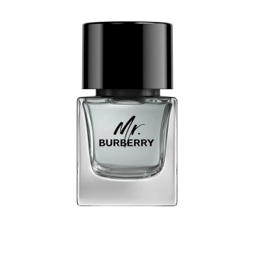 BURBERRY vapor