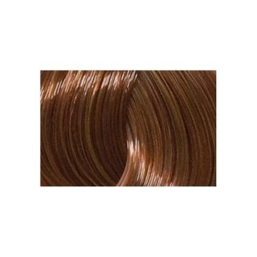 L'ANZA Healing Color 6BC (6/24) Light Beige Copper Brown 90ml