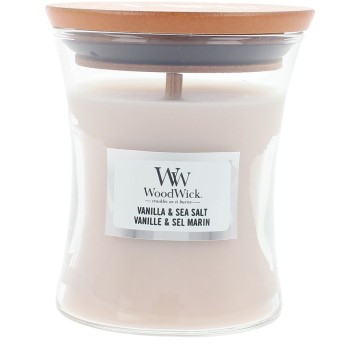 WOODWICK MINI candle...