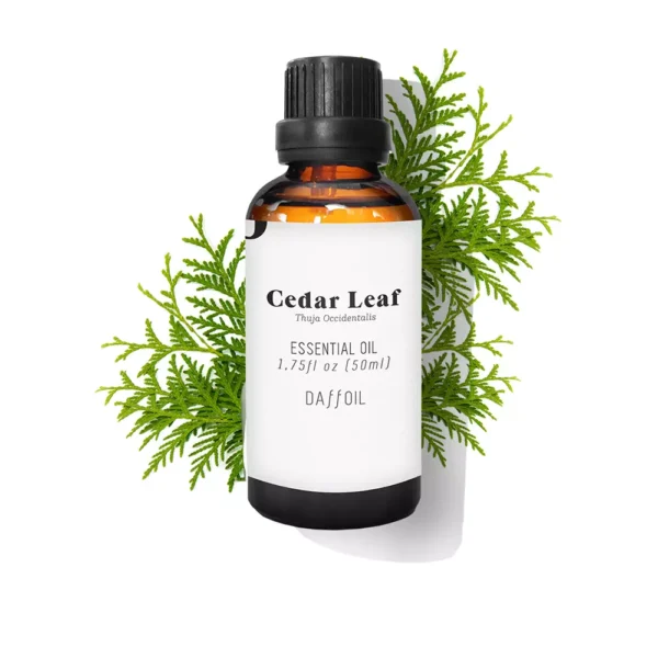 DAFFOIL | DAFFOIL CEDAR LEAF | Facial Treatments | Hair Treatments | Aromatherapy - Image 3
