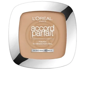 ACCORD PARFAIT Melting Powder Hyaluronic Acid #5.D - 9g
