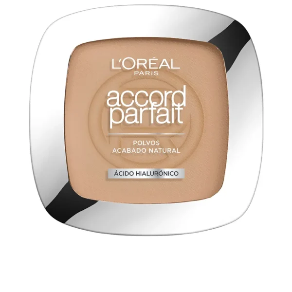 ACCORD PARFAIT Melting Powder Hyaluronic Acid #5.D - 9g
