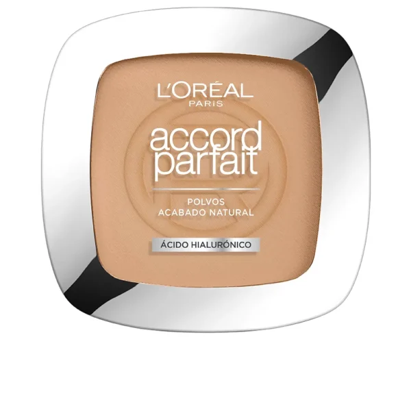 Accord Parfait Hyaluronic Acid Powder 9g #3.R