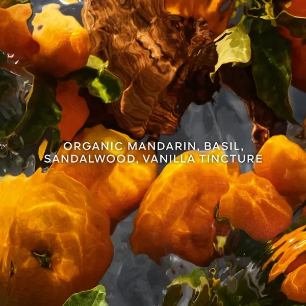 Aqua Allegoria Mandarine Basilic Forte EDP Refill 200ML - Image 2