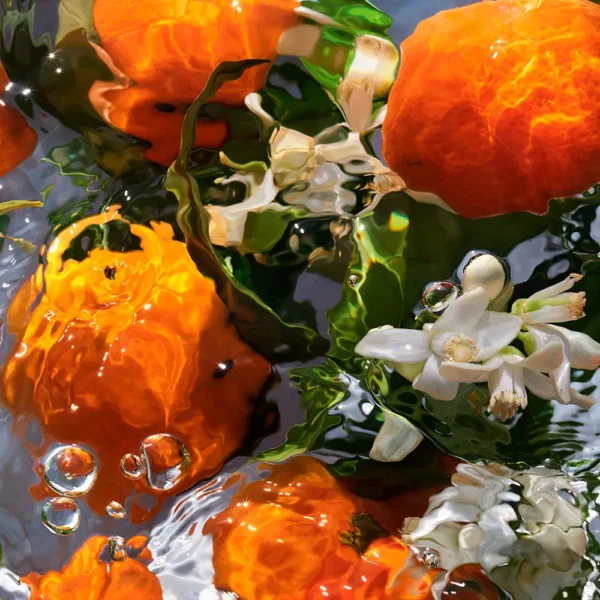 Aqua Allegoria Mandarine Basilic Refill EDT 200ml - Image 2