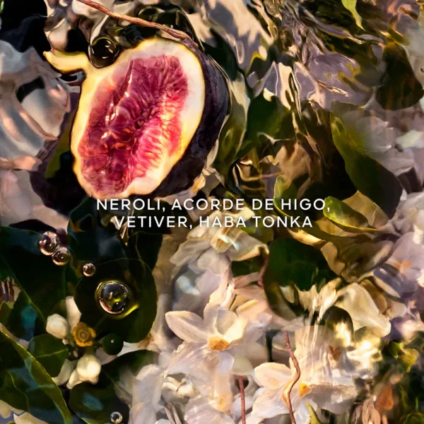 Aqua Allegoria Nerolia Vetiver EDP Refill 200ML - Image 2