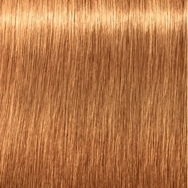 SCHWARZKOPF | IGORA ROYAL | Colouring And Bleaching - Image 9