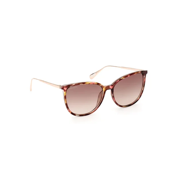 MAX & CO Round Havana Sunglasses 140mm - Image 2
