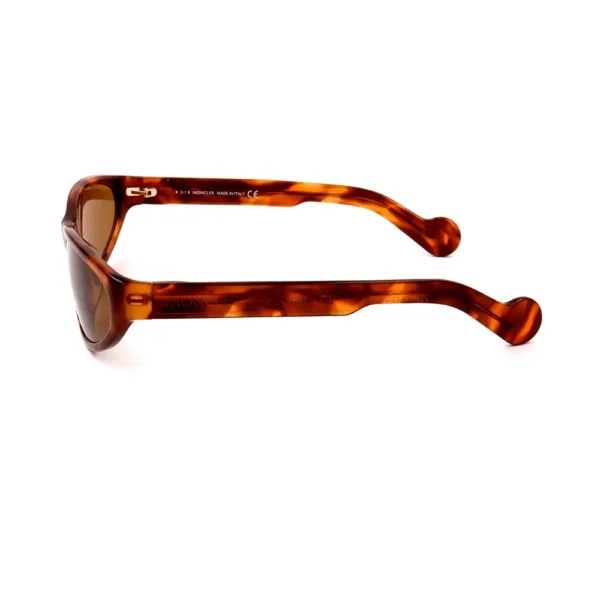 Moncler Gafas Round Havana Sunglasses 135mm - Image 3