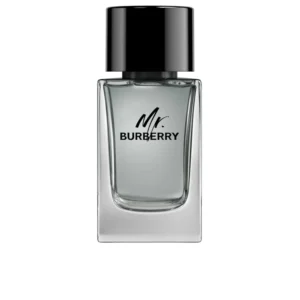 Mr Burberry Eau De Toilette Spray 100ML