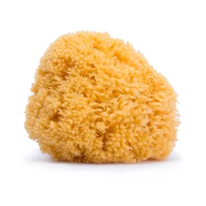 Natural Bath Sponge - Suavinex