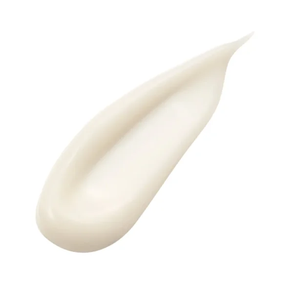 SENSAI Absolute Silk Cream 40ML - Image 2
