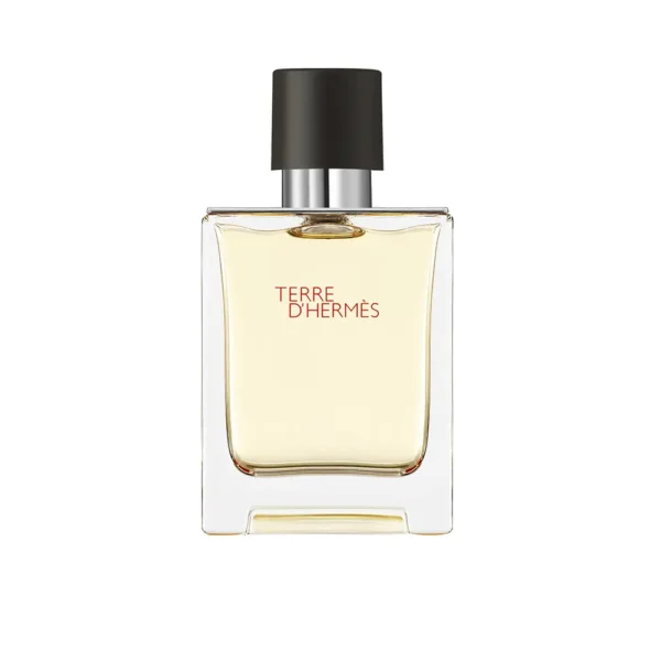 Terre D'Hermès Eau De Toilette Spray 50ML