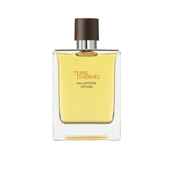 Terre D'Hermès Eau Intense Vétiver Eau De Parfum 100ML