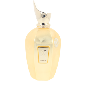 Overdose Accent Eau de Parfum 100ML