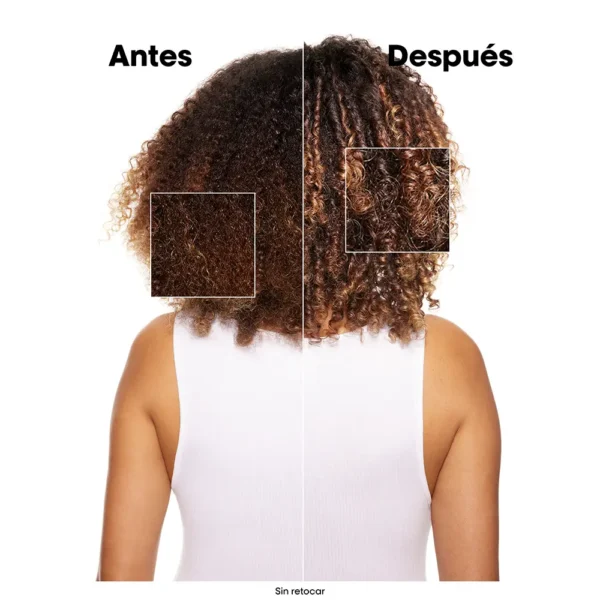 L'ORÉAL PROFESSIONNEL PARIS | ABSOLUT REPAIR | Packs And Sets | Shampoos - Image 2